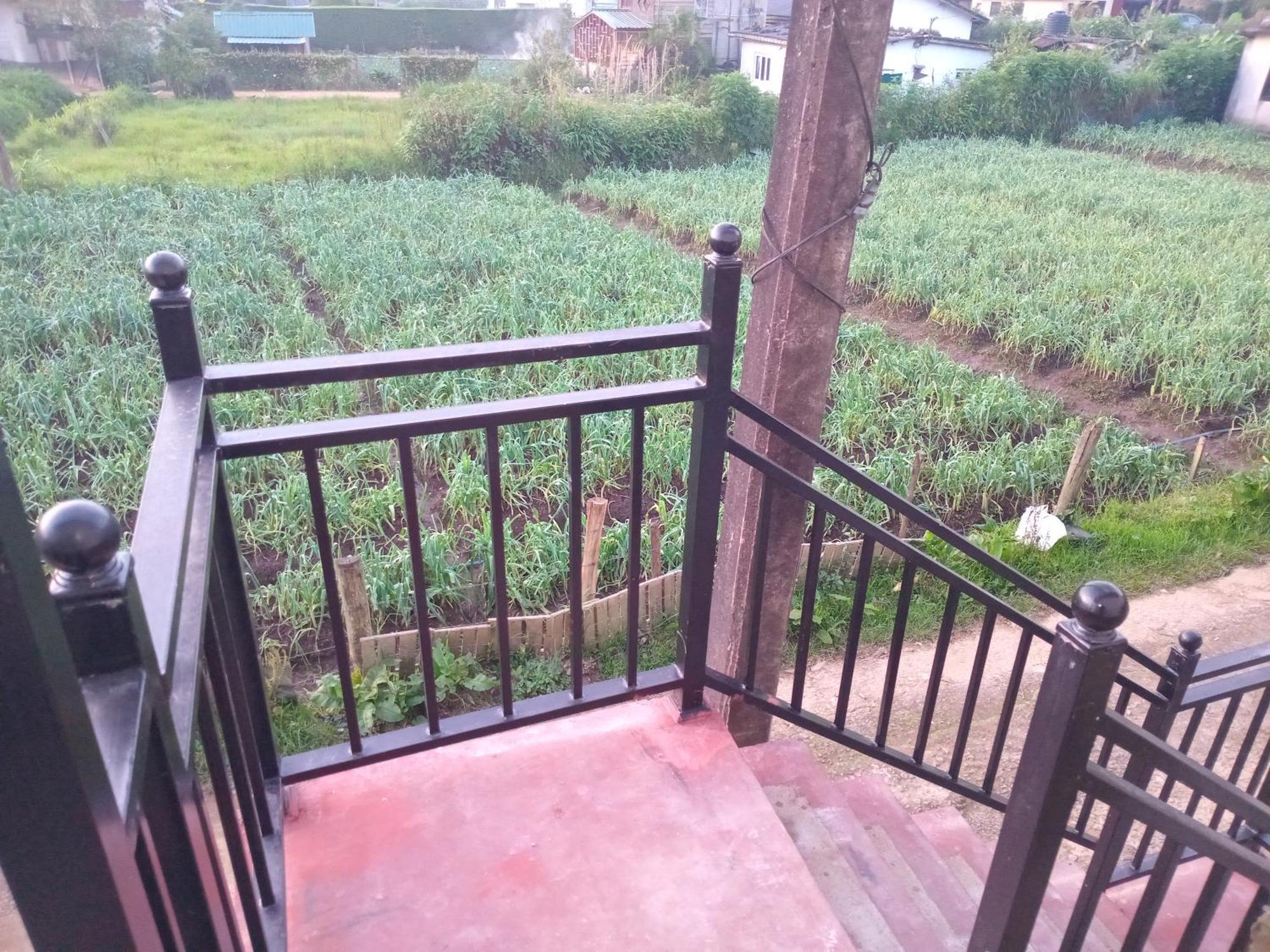 Serenity Heights Nuwara Eliya Dış mekan fotoğraf