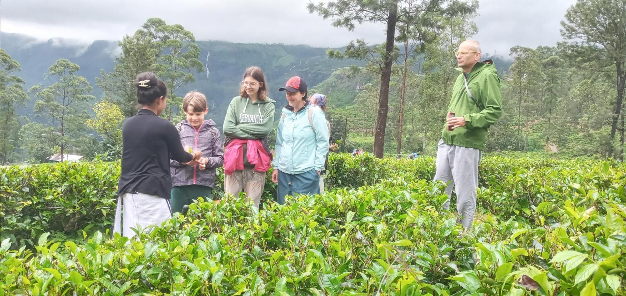 Serenity Heights Nuwara Eliya Dış mekan fotoğraf
