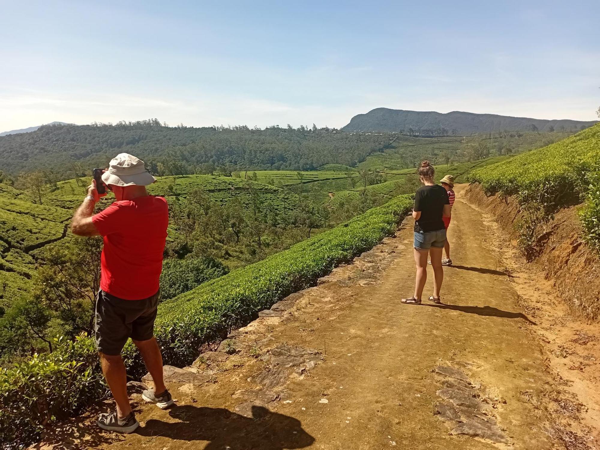 Serenity Heights Nuwara Eliya Dış mekan fotoğraf