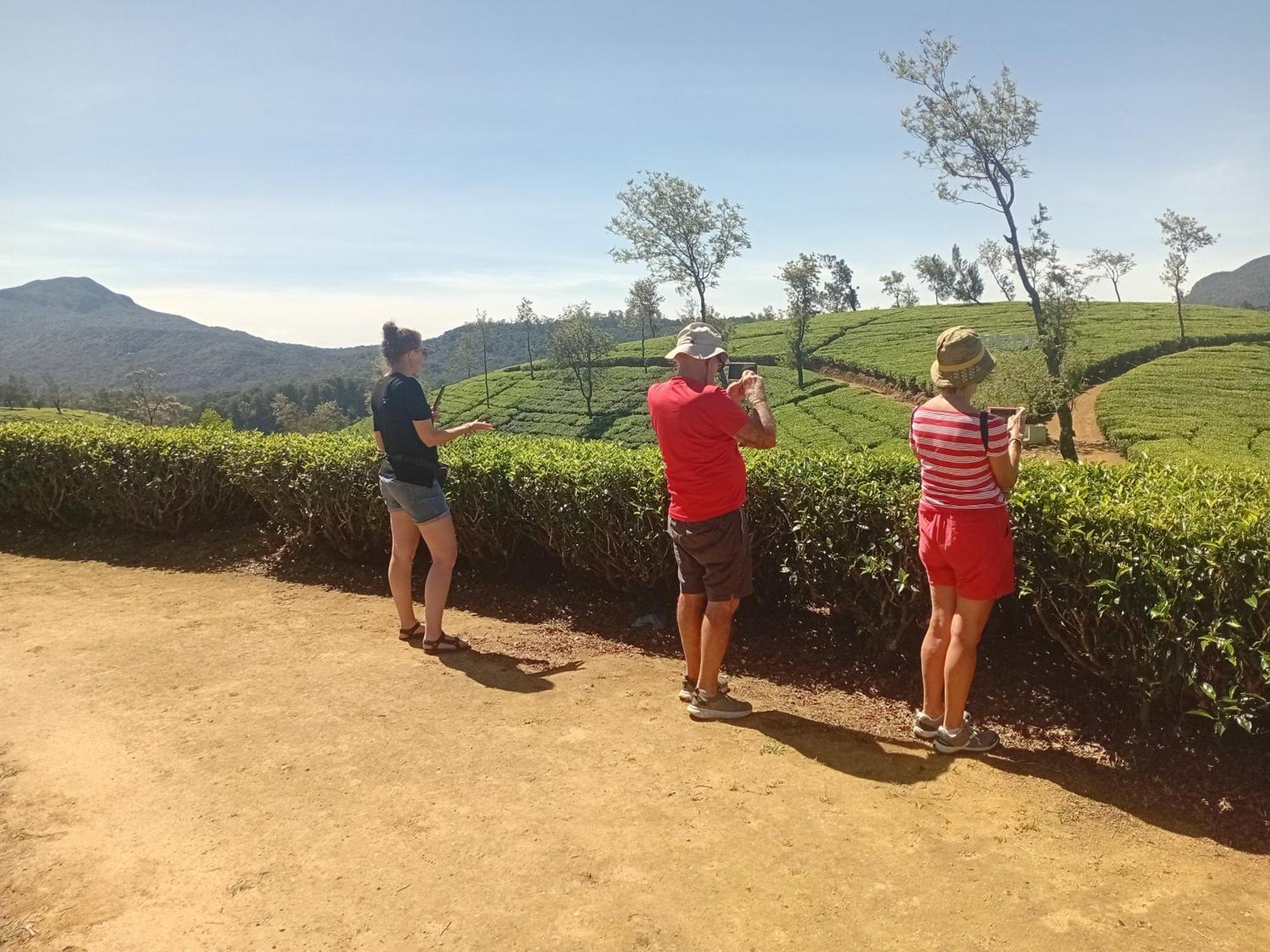 Serenity Heights Nuwara Eliya Dış mekan fotoğraf